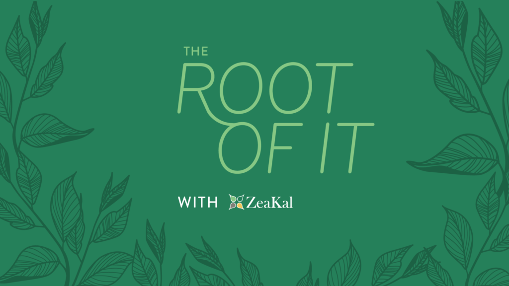 The root of it what it takes to rejuvenate the agricultural ag ecosystem zeakal